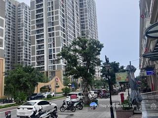Cho thuê shop tmdv vị trí đẹp đối diện cụm chung cư giàu có nhất tại vin1, phù hợp làm spa, quán ăn