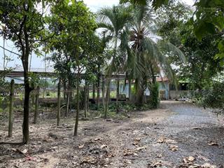 Bán 5009 m2 đất ở ấp rừng dầu, xã đức lập, tỉnh tây ninh