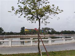 Bán mảnh đất lô góc 550m xây biệt phủ  mặt quay các ngả  ô tô tải tránh sát vinhome ocean park 1