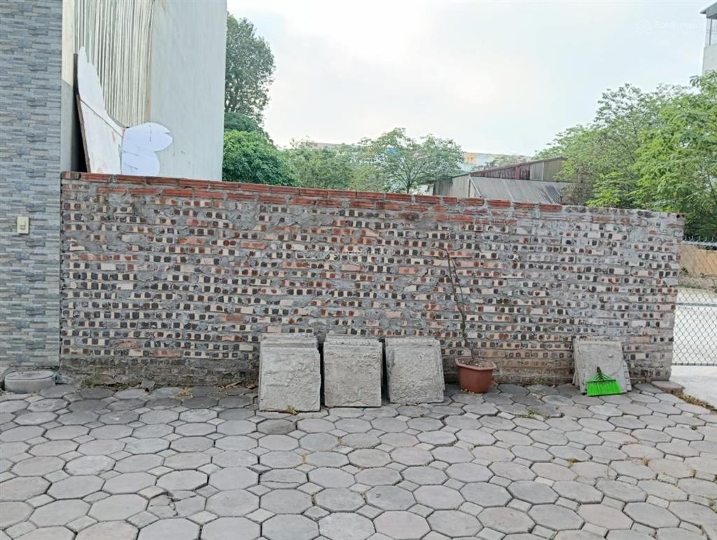Chính chủ bán đất ô tô tránh sát vinhomes ocean park gia lâm