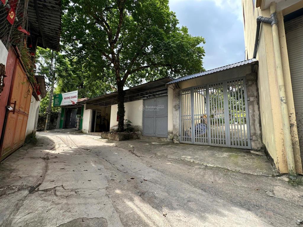 Chính chủ bán đất phụng châu, chương mỹ, 110m, ngõ thông đường rộng, ô tô. giá chỉ hơn 4 tỷ