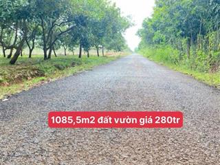 Bán đất vườn điều 1085m2 đúng giá 280tr