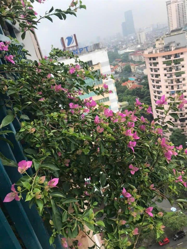 Cần bán gấp căn góc 3pn 113m full nội thất xịn tại dự án az lâm viên 107 nguyễn phong sắc