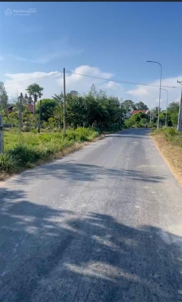 Bán lô đất lúa 290517m2 tại vị trí 2 đường phạm thế hiển, xã tân bình, lagi giá từ 150 triệu/lô