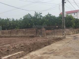 Bán đất tráng việt, mê linh, hà nội chỉ với giá ưu đãi 7,85 tỷ, 186 m2