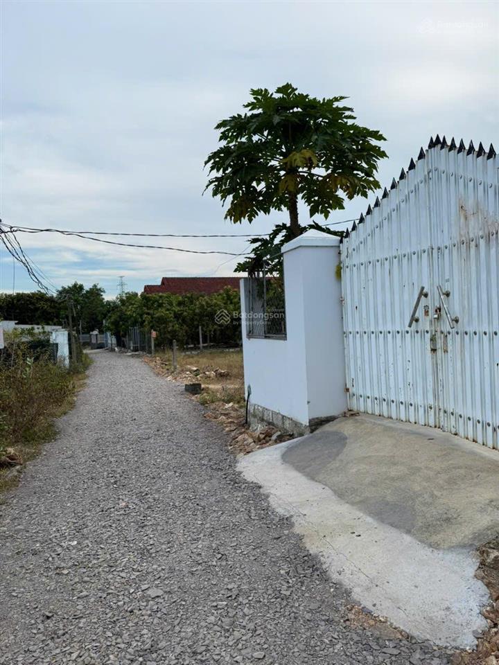 Bán đất đắc lộc đt 950m2(16x60m) đường ô tô tránhchỉ 2 tỷ500trvinh phươngnt