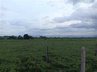 Bán đất lương sơn ninh sơn  120m² gần dự án tích điện năng  giá tốt 280tr