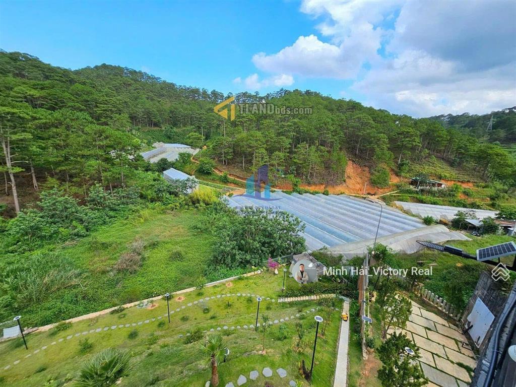 Bán nhanh lô đất view thông cực đẹp, dt 252m2 (12x21m), đường hoàng hoa thám, p10, đà lạt