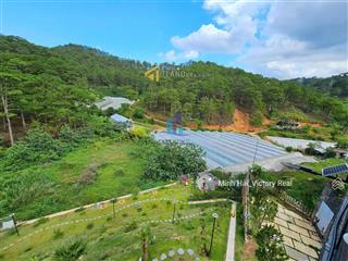Bán nhanh lô đất view thông cực đẹp, dt 252m2 (12x21m),đường hoàng hoa thám,p10,đà lạt