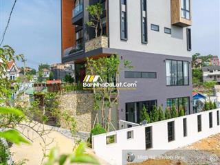 Bán biệt thự đường triệu việt vương p4 ,dt  200m2 (10x20m),thiết kế hiện đại nội thất sang trọng