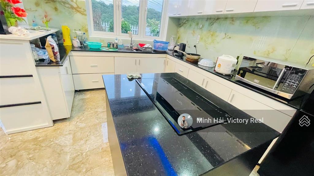 Bán villa/biệt thự đường ô tô lớn hoàng hoa thám, p10. dt 300m2 (10x30m) view thông xanh