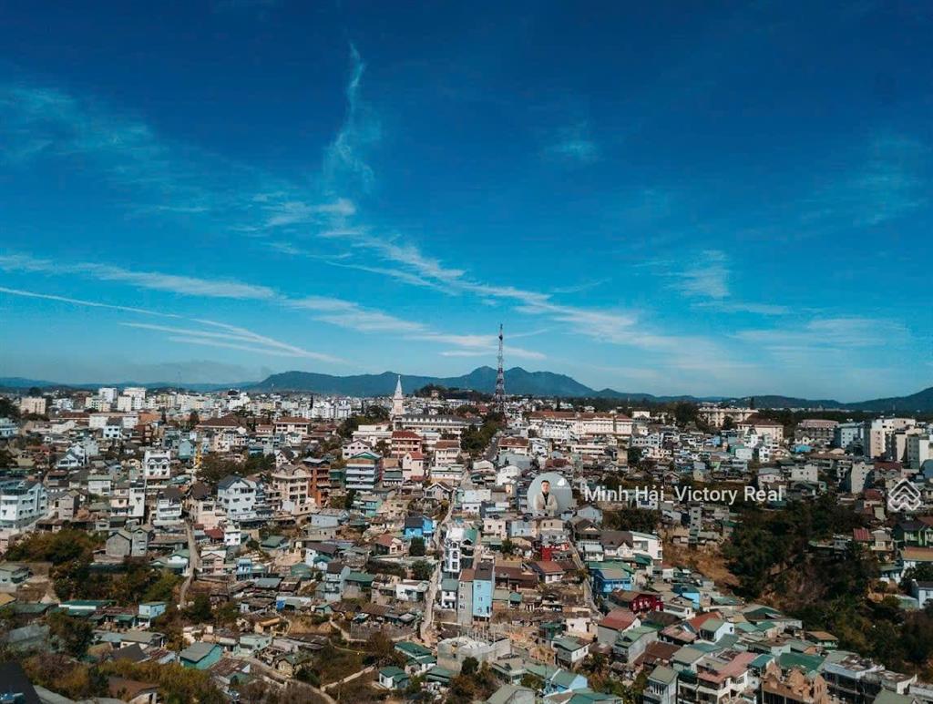 Cơ hội đầu tư homestay đà lạt hẻm xe hơi trung tâm 6pn, 86.5m², giá chỉ 6.5 tỷ