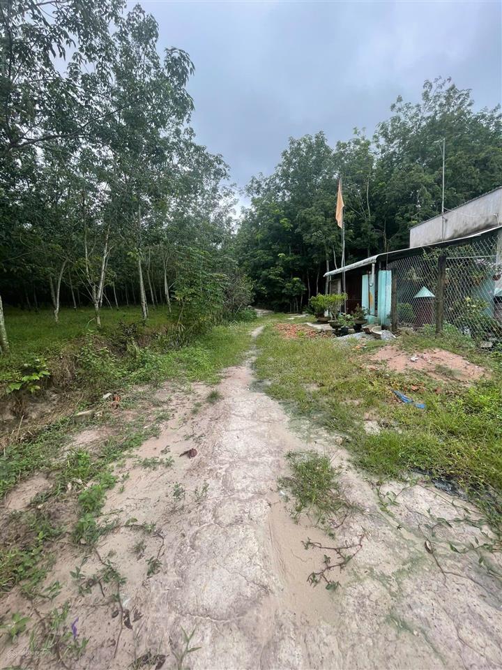 Bán đất lớn có thổ cư, ngang 47m, xã long nguyên, bàu bàng