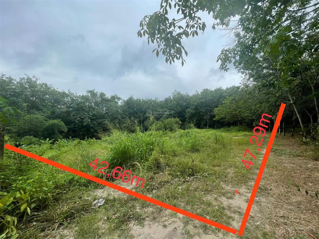 Bán đất lớn có thổ cư, ngang 47m, xã long nguyên, bàu bàng