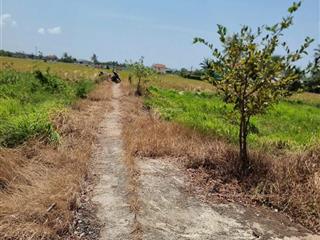 Bán đất đức tân, tân trụ, long an