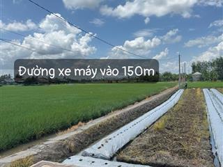 Bán đất tân trụ (quê mỹ thạnh)