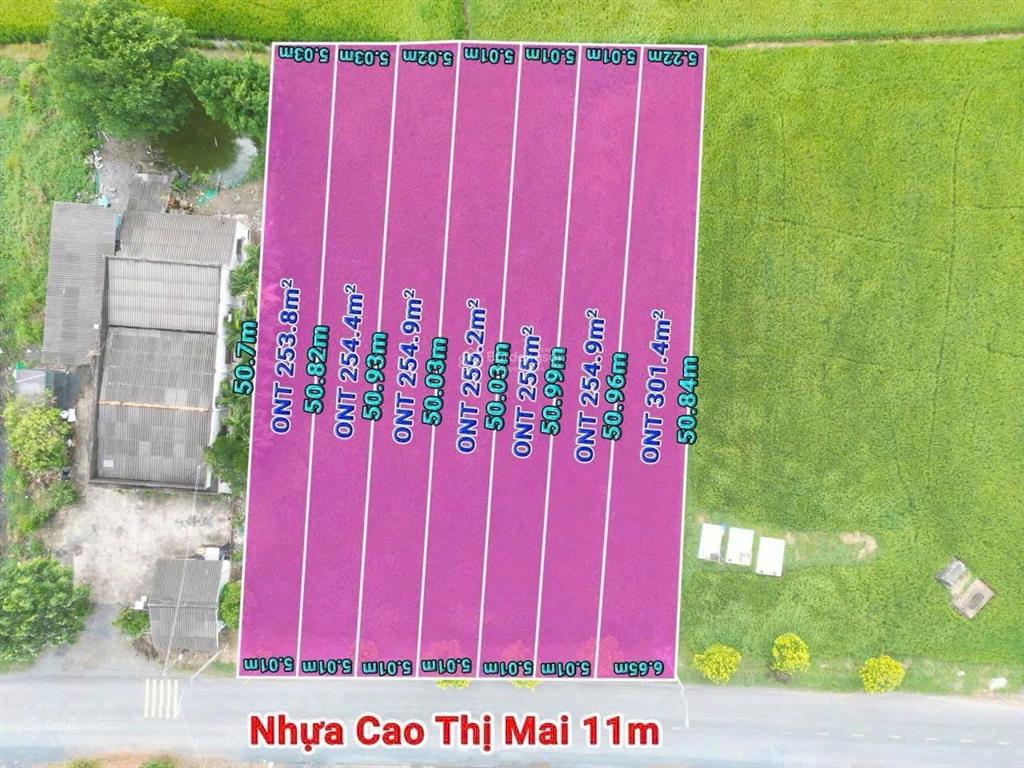 Cần bán 5 nền ( mặt tiền đường cao thị mai 11m tân trụ long an)
