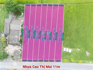 Cần bán 5 nền ( mặt tiền đường cao thị mai 11m  tân trụ  long an)
