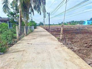 Cần bán đất lúa + thổ làm nhà vườn (bình tịnh  tân trụ  long an)