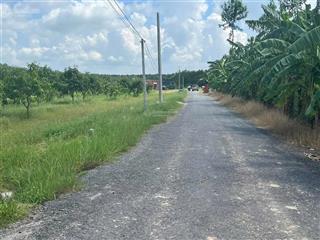 Bán đất 100m2 tại trần văn trà, tân bình, tây ninh, giá 250 triệu, view đẹp, nhiều tiện ích