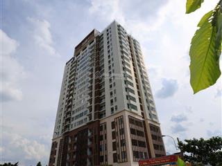 Chỉ 7,1 tỷ sở hữu ngay căn hộ cao cấp 151,66m2 ascent lakeside ngay tại trung tâm quận 7