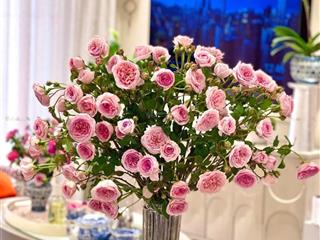 Bán căn hộ chung cư khu đô thị mễ trì hạ 108m2 giá chào 80tr/m2 có thương lượng o982152ba45