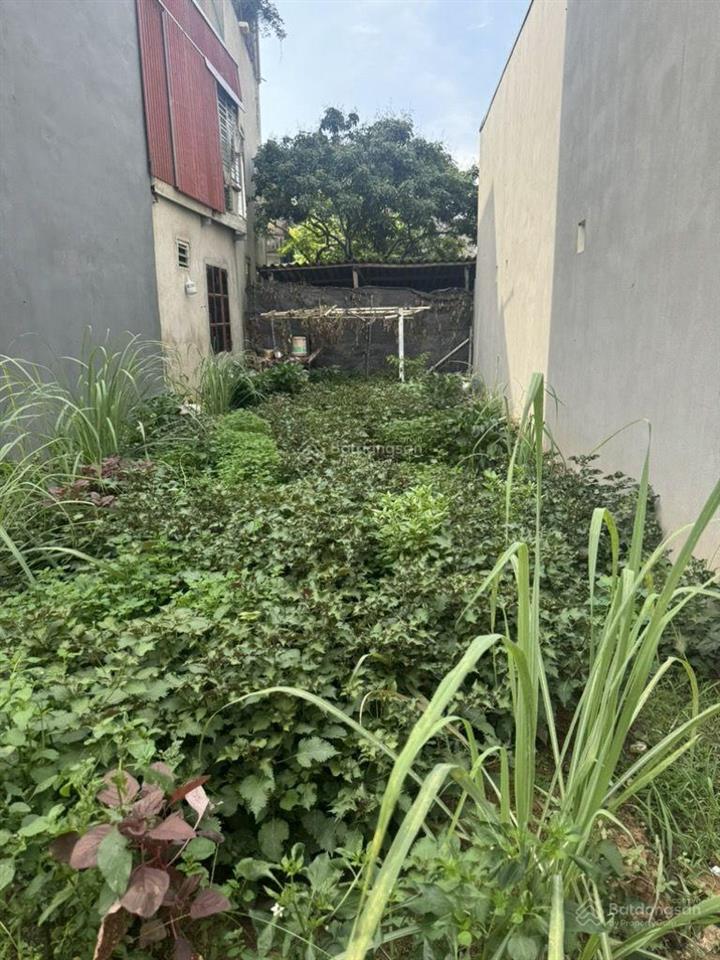 Bán đất 20m chợ an thượng an khánh ô tô đỗ cổng sát trục chính 72 95m2 5.6 tỷ