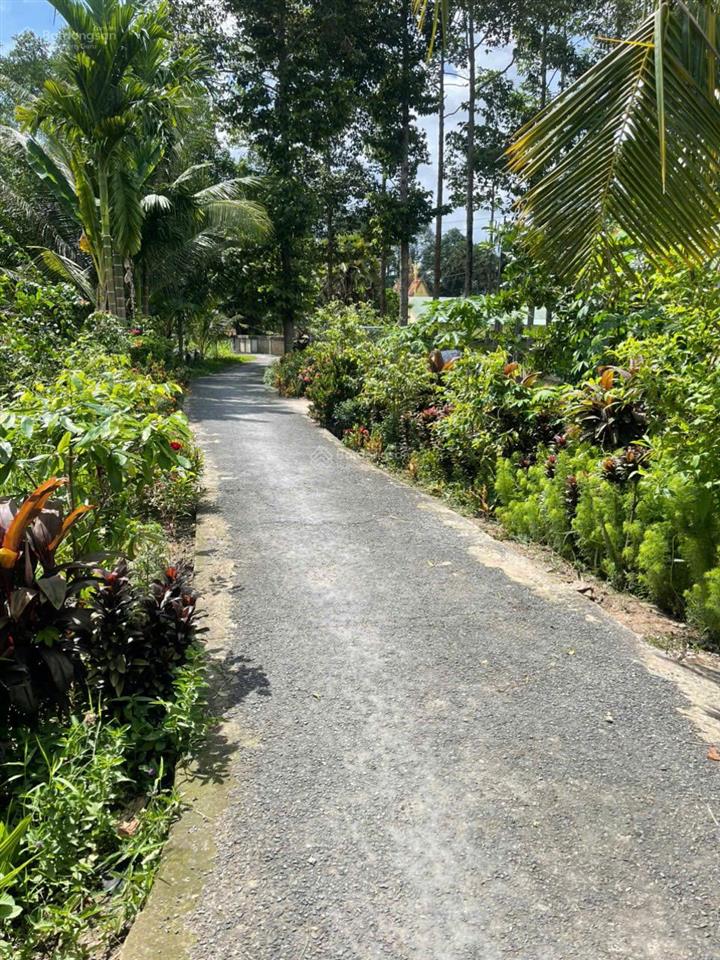 Bán đất đông thành, 365 triệu, 97m2, view đẹp