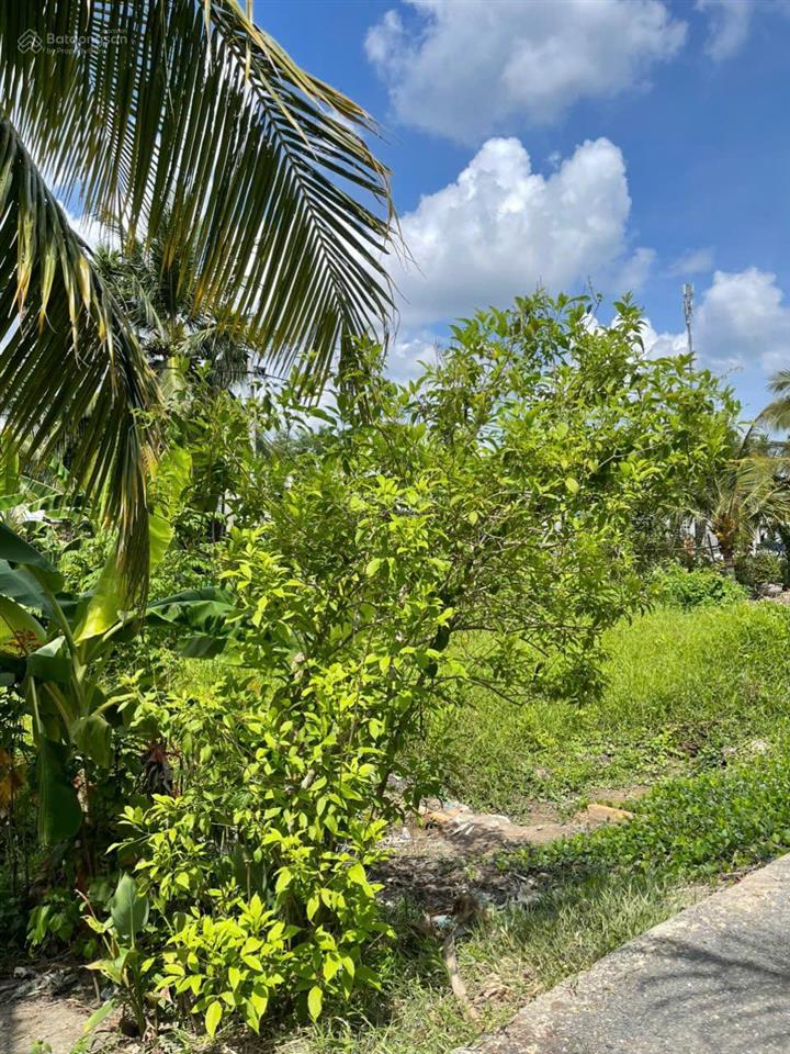 Bán đất đông thành, 365 triệu, 97m2, view đẹp