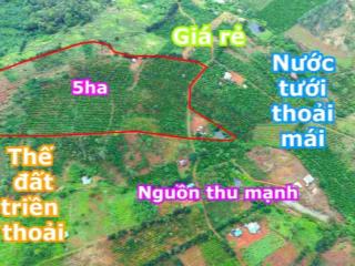 5ha không sổ giá rẻ nguồn thu mạnh tại gia nghĩa