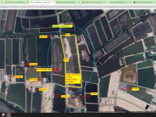 Bán đất 1.8ha gần đường an thới đông, cần giờ ngang 287x65m, 5 shr, giáp đường bê tông 3m, 40tỷ(tl)