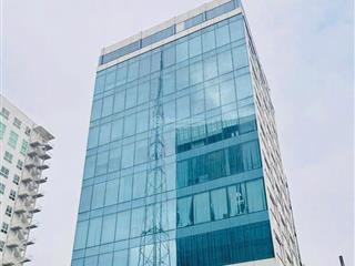 Bán tòa building khu vip sân bay hoàng việt, út tịch 13 x 21 cn (240m2 ) 50 tỷ