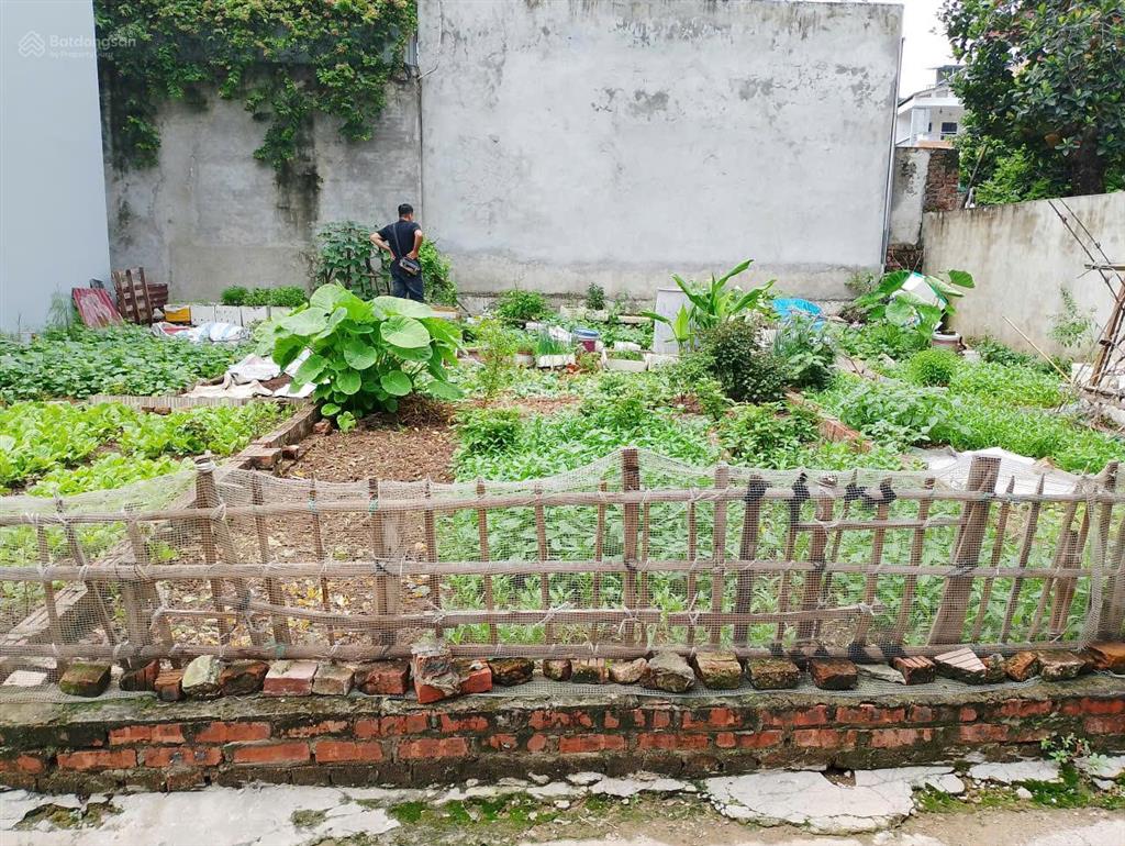 Bán gấp mảnh đất đẹp, nở hậu, sổ đỏ chính chủ 55m2 , ô tô đỗ cửa