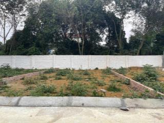 Bán lô đất 60m2 phúc tiến bình yên  rẻ giật mình  2,x tỷ, x chưa đi mầm non