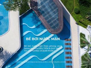 Căn hộ 2pn the london  vinhomes ocean park, giá 4,420 tỷ