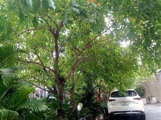 Bán nhà đường dương quảng hàm, phường 5, quận gò vấp, không còn căn thứ 2 mua nhanh sẽ kịp