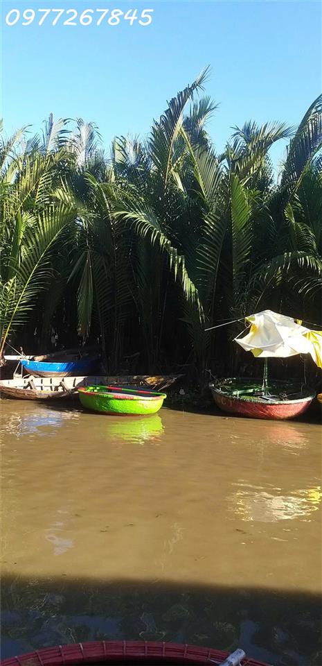 Bán đất Cẩm Thanh khu vực rừng dừa bảy mẫu, DT 200m2, giá 40tr/m2