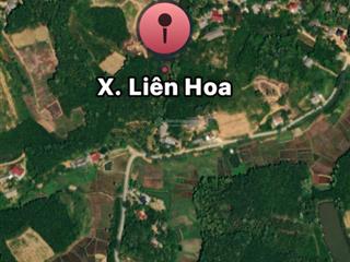 Đất trồng cây lâu năm 3000 m giao thông thuận tiện