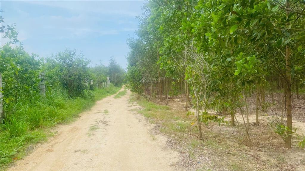 1,4 mẫu 2 mặt tiền phủ hồng toàn bộ có 200m2 thổ cư gần kcn sơn mỹ
