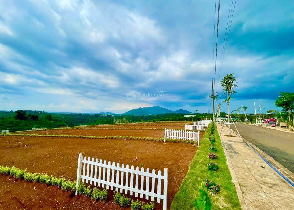 Sống giữa thiên nhiên đầu tư sinh lời ngay tại di linh! giá chỉ 5,5 triệu/ m2