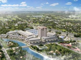 Dự án gồm có thấp tầng và shophouse