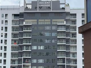 Bán cc ascent lakeside, 152m2, 3pn, 3wc, ngay trung tâm quận 7, tp.hcm