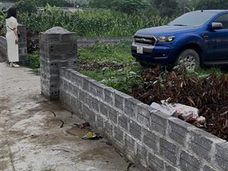 Chính chủ bán gấp lô đất 450m2 xây biệt thự nhà vườn mặt đường liên xã cực đẹp