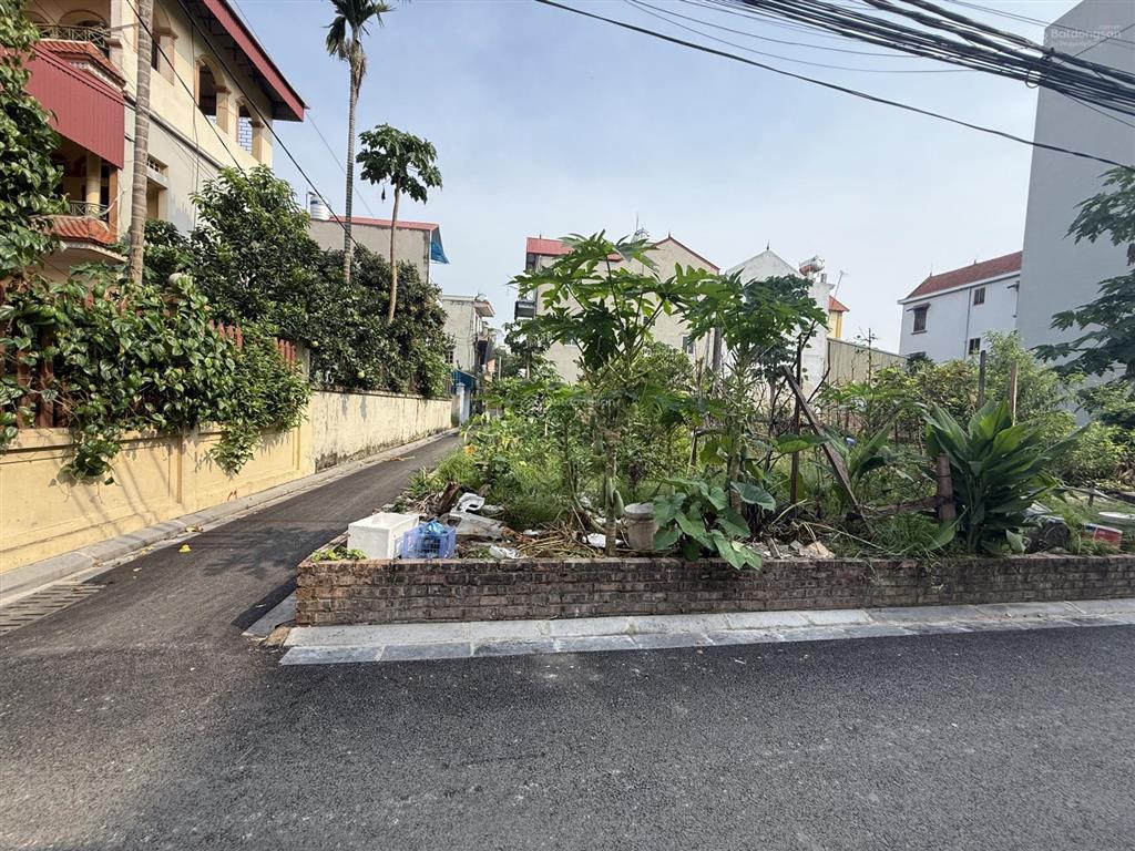Bán đất phúc thọ, mai lâm, 60m2 5 tỉ, lô góc, ô tô vào đất, hàng xóm vinhomes, 5p lên cầu tứ liên