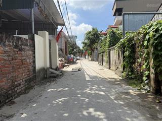 Bán đất mai lâm đông anh 44m2 5 tỉ, ô tô vào nhà, hàng xóm vinhomes,5 phút ra triển lãm quốc gia