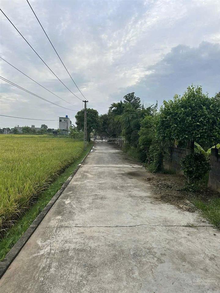 Bán lô đất rộng 1000m2 thích hợp xây biệt thự nhà vườn giá chỉ nhỉnh 1tỷ tại thanh tân kiến xương