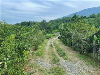 Bán lô đất 1ha giá 1tỷ8 đồng phú bình phước đất bằng phẳng thích hợp đầu tư.