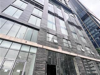 Chính chủ bán căn hộ cao cấp capital elite tầng cao 105m2 view đẹp, giá tốt nhất thị trường