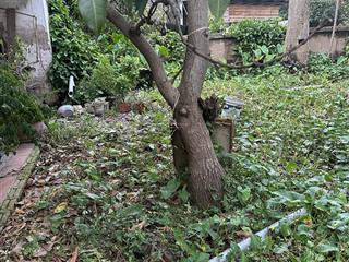 40m2 đất liên mạc, ô tô đậu cạnh đất