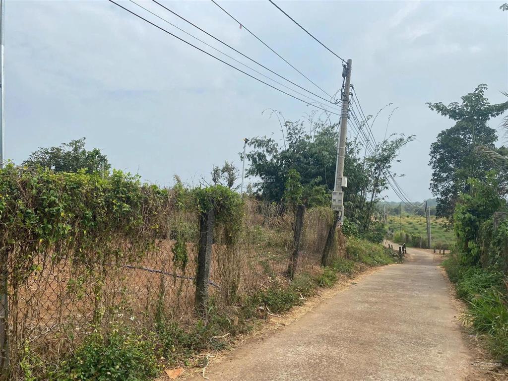Ngân hàng thanh lý thửa đất nở hậu đẹp tại sông ray, cẩm mỹ, đồng nai. diện tích 2.020m2